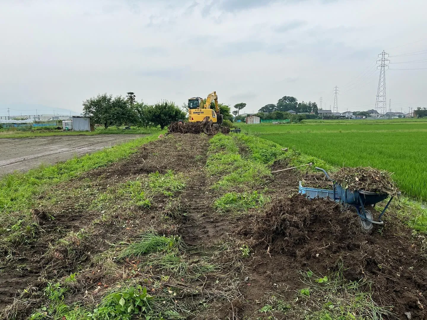 長年借りていた農地を返却の為樹木伐採　抜根　砕石敷き均しで完...